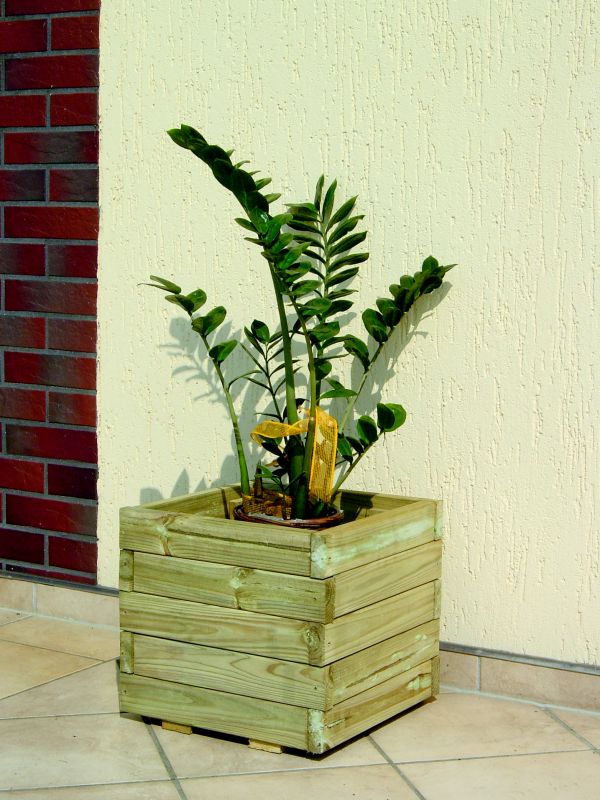 Kwadratowa, drewniana donica ogrodowa z zieloną rośliną Zamioculcas zamiifolia, ustawiona na kafelkach tarasu, z ceglanym narożnikiem budynku i kremową ścianą w tle.